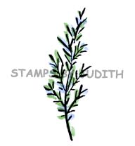 F-307-HK Bold Fir Branch